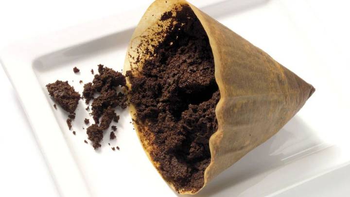 Por qué hay que poner restos de café en los zapatos y para qué sirve
