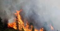 Baten récords incendios en Europa, con España y Portugal como sus principales víctimas
