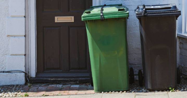 Households face major bin changes as new rubbish collections are rolled out