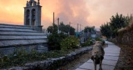 Spain battles 20 major wildfires amid scorching heat, deploys more troops