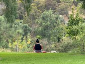 Pepper Grove, a pretty place with trees, a canyon view and a fun playground