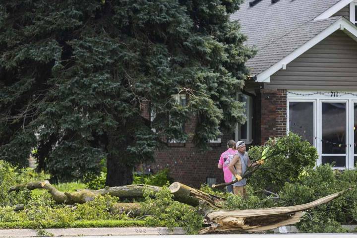 Woman Killed, Man Fighting for Life After Tree Falls on Car During Storms