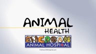 Animal Health (Wizer)