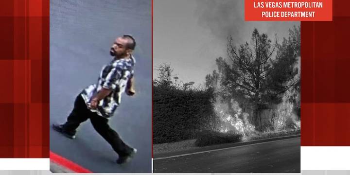 ‘I was trying to get attention’: Man accused of setting fire to hedge at police HQ wanted to get arrested, report says