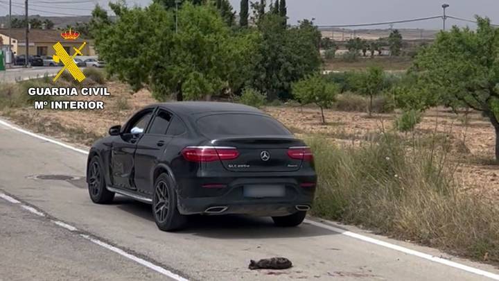 Investigan a un conductor que arrojó un gato a la calzada y pasó por encima del animal hasta en tres ocasiones