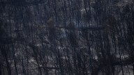 Firefighters battle to prevent reignition of France's largest wildfire as residents return home