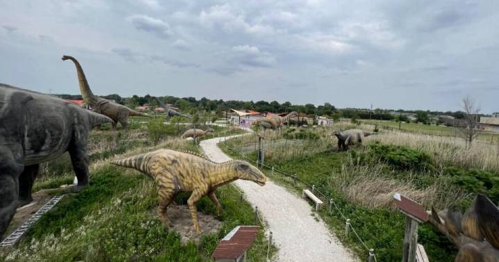 Fossils, artifacts stolen from Field Station: Dinosaurs in Derby