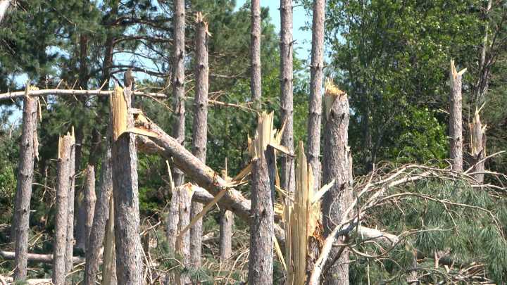 No Federal Disaster Assistance for Beltrami County After June 21 Storm