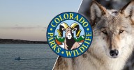 Colorado Parks and Wildlife to host two-day hybrid meeting in Pueblo