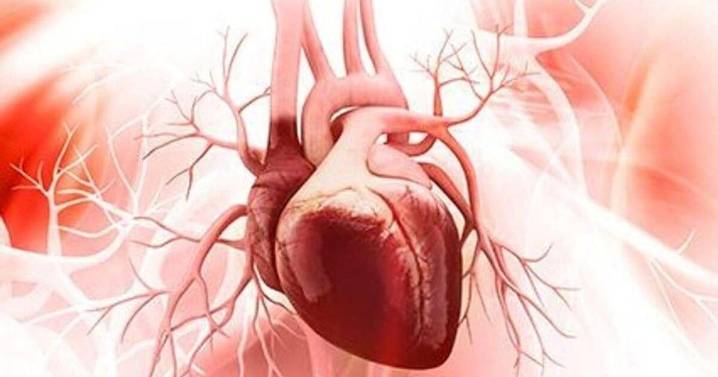 More Women In Study Reveals Heart Risk For Men