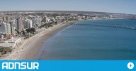 16:14 Encontraron otro ballenato muerto en Puerto Madryn: es el tercero en menos de un mes