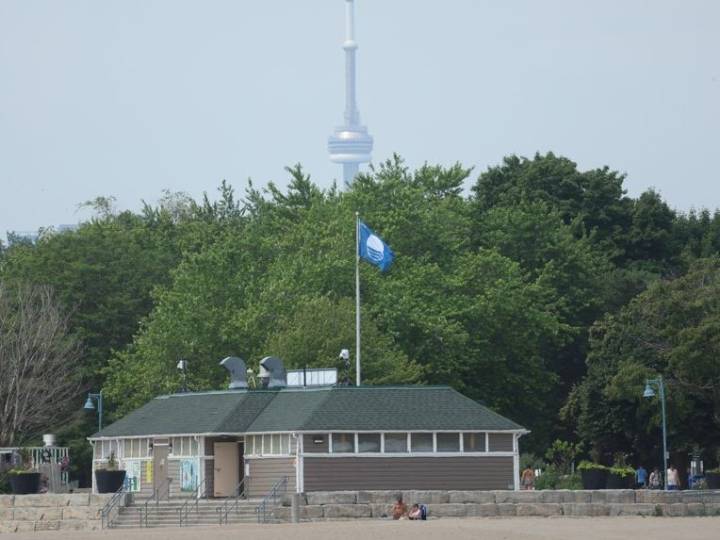 Family 'devastated' as search continues for jet skier in Lake Ontario