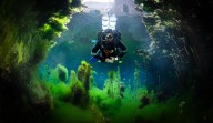 Miles from the ocean, there’s incredible diving beneath the streets of Budapest