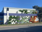 Local ecology inspires new mural project at Burnside Road in Victoria