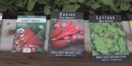 FIRST ALERT WEATHER: Ozarks gardeners ready for the fall planting season
