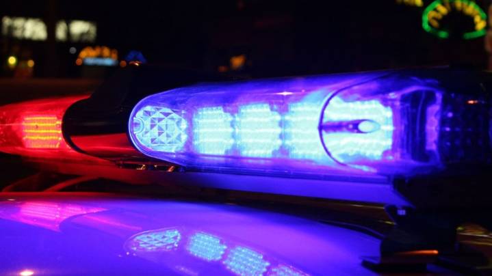 Security guard fires at woman after alleged attack
