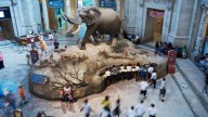 La Casa Blanca ordena revisión de museos y exhibiciones del Smithsonian para asegurar alineación con directiva de Trump