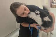 Huskies Left Behind After Owners Moved Out Now Seek a Forever Home