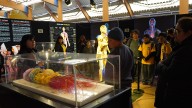 Estudiantes de Tierra Amarilla vivieron experiencia educativa en exposición “Bodies Evolution”