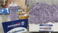 FOTOS: así era el vestido que ocultaba 68 sobres de cocaína enviado en Vitacura