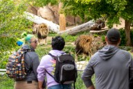 The Denver Zoo plans to reopen its west entrance