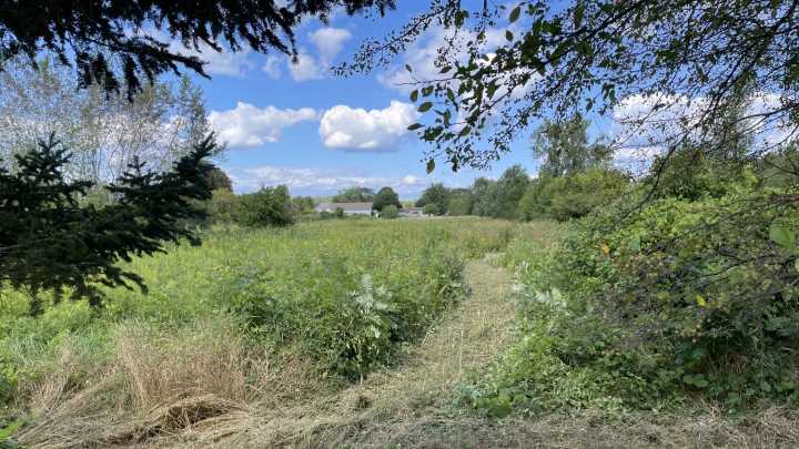 Monroe Township makes $54K investment in new East Dunbar Road property