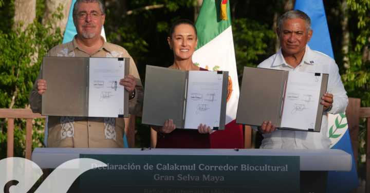 México, Guatemala y Belice pactan creación de corredor biocultural para preservar Gran Selva Maya