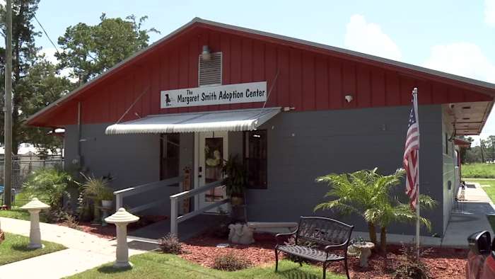 Lake City Humane Society to lose almost $400K contract after Columbia County officials decide not to renew it