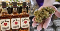 Revenue department announces admin to oversee Montana's new alcohol, cannabis agency