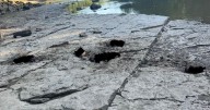 Still no arrests after 5 dogs shot to death, 'discarded like trash' at Kansas river dam