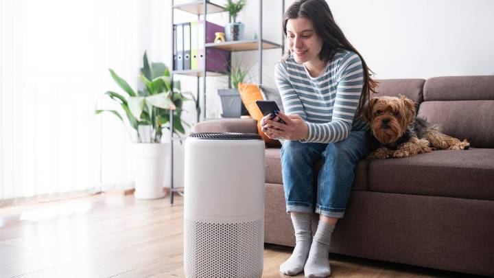 Humidifier vs. Purifier: We Asked Medical Experts Which Is Better for Allergies