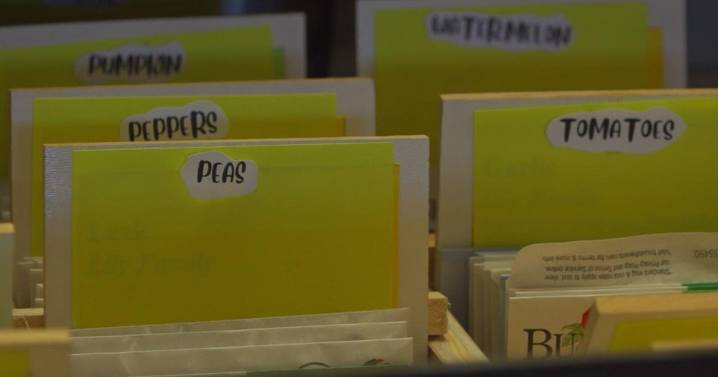 Stockton library offers more than just books with free seed program
