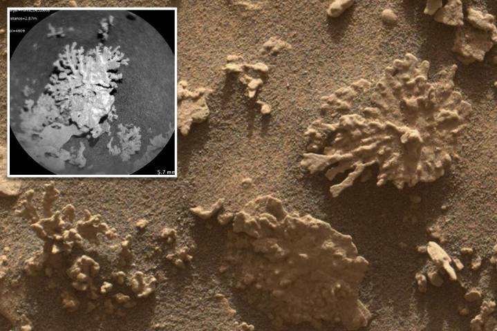 'Coral' rocks found on Mars by NASA's Curiosity rover