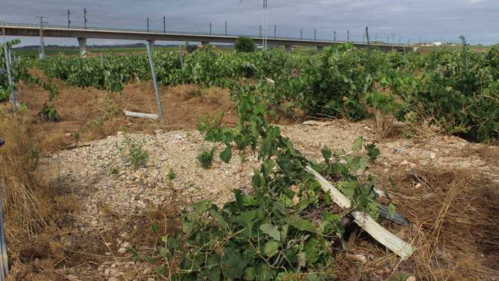 Retrasos e incertidumbre entre los agricultores por el cobro de ayudas de la DANA