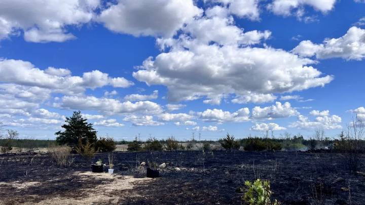 Large field fire in Read