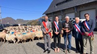 Jaca y el valle del Aspe renuevan el tratado que "derribó fronteras" hace casi 900 años
