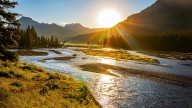 Yellowstone National Park Visitors Turn Heads For All The Wrong Reasons: Expensive Towing Bill Incoming