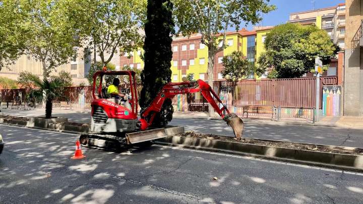 Salamanca, más verde y arbolada que nunca