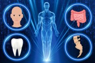 Future humans ‘will be hairless & lose FOUR other body parts' thanks to modern lifestyles