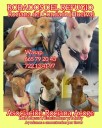 Rociana Acoge busca a cinco perros robados