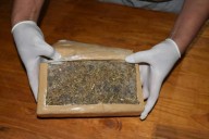 Rechazan que un juicio por drogas sea evitado solo con una multa