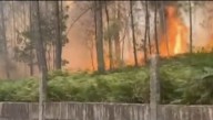 Investigan a un tractorista y a su jefe por causar un incendio forestal en Salvaterra do Miño cuando desbrozaban debajo de una línea eléctrica
