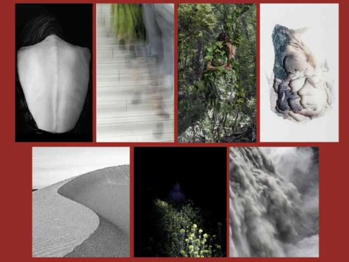Una muestra de fotos en un histórico colegio invita a experimentar con la naturaleza y los sentidos