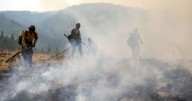 Lawyers demand Border Patrol release firefighter arrested while battling Washington wildfire