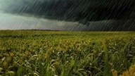 Cómo impactará la tormenta de Santa Rosa al sector agropecuario