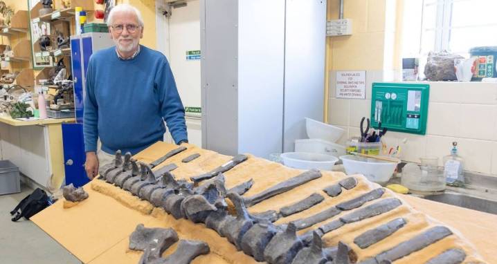 New Dinosaur Species With Unique Sail Identified In Britain