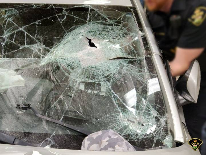 New charges laid in 2024 Markham rock