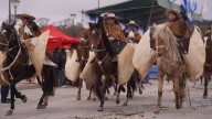 Más de 100 agrupaciones gauchas de todo el país desfilarán por el Éxodo Jujeño