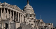 Jobs market: U.S. government to shed 300,000 workers this year