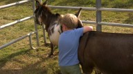 Ruby Branch Farms hosts Simpson County Ag Extravaganza